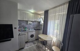 Apartament 2 camere, mobilat și utilat, Zona Valea Roșie