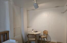 Apartament cu 2 camere, parter, pretabil spatiu comercial, Zona Bila
