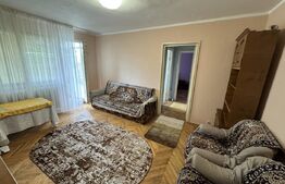 Apartament modest 2 camere, aer conditionat, Brazda lui Novac
