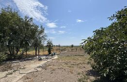 Casa pe parter Carna, 100 mp, 1500 mp teren