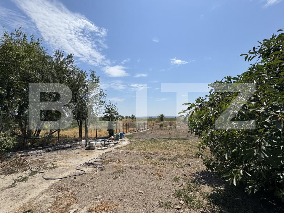 Casa de vânzare 4 camere Exterior Sud - 174040CV | BLITZ Craiova | Poza13