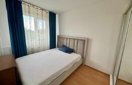 Apartament semidecomandat, Valea Rosie, 30 mp 