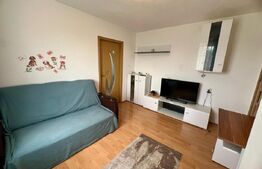 Apartament semidecomandat, Valea Rosie, 30 mp 