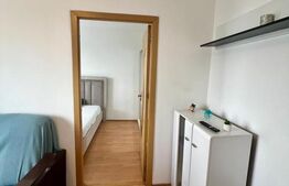 Apartament semidecomandat, Valea Rosie, 30 mp 