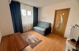 Apartament semidecomandat, Valea Rosie, 30 mp 