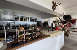 Proprietate turistică în Vârful Roman – Horezu, vedere panoramică