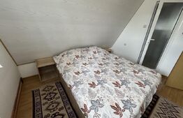 Proprietate turistică în Vârful Roman – Horezu, vedere panoramică