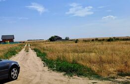 Teren intravilan Carcea , 415 mp , cu front stradal 14,78 m 