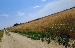 Teren intravilan Carcea , 415 mp , cu front stradal 14,78 m 