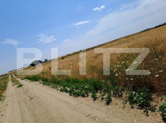 Teren de vânzare Carcea  - 174117TV | BLITZ Craiova | Poza1