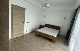 Penthouse cu 4 camere 120 mp si terasa 55 mp, zona centrala