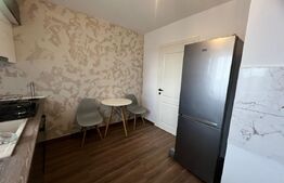 Studio 55 mp cu incalzire in pardoseala si loc de parcare, zona Bacriz