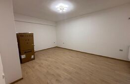 Garsoniera decomandata, zona Gradina Botanica