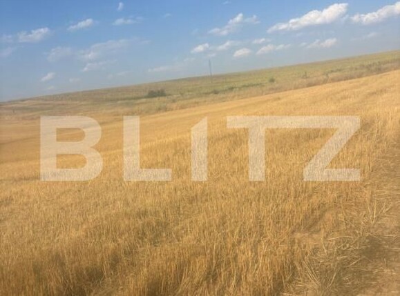 Teren de vânzare Malu Mare - 174311TV | BLITZ Craiova | Poza5