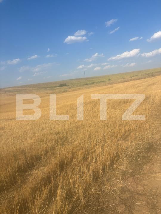 Teren de vânzare Malu Mare - 174311TV | BLITZ Craiova | Poza5