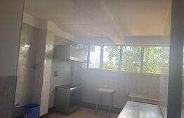 Pensiune P+1, cu restaurant + terasa, cu acces imediat la Drumul Expres