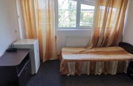 Pensiune P+1, cu restaurant + terasa, cu acces imediat la Drumul Expres