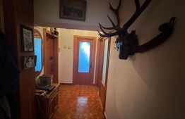 Apartament Ultracentral 3 camere decomandate ,82mp,zona Patria