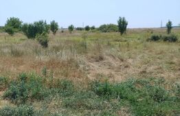 Parcele intravilan, 500 mp, str Constantei, langa Eurocartier 