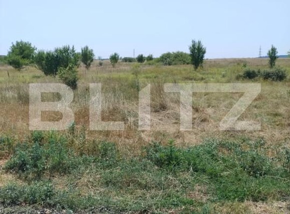 Teren de vânzare Brestei - 174348TV | BLITZ Craiova | Poza2
