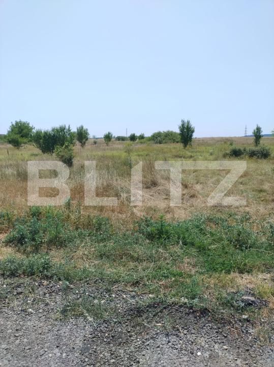 Teren de vânzare Brestei - 174348TV | BLITZ Craiova | Poza2