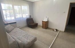 Apartament 2 camere 50mp la parter, renovabil 40 000 euro