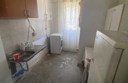 Apartament 2 camere 50mp la parter, renovabil 40 000 euro