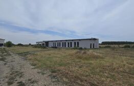 Proprietate comerciala, teren 15.923 mp, 2 hale construite, zona Carcea