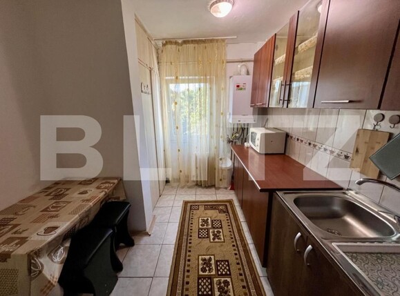 Apartament de închiriat 3 camere Brazda lui Novac - 174362AI | BLITZ Craiova | Poza8