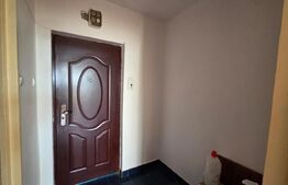 Garsoniera 32 mp, mobilata si utilata - Brazda lui Novac