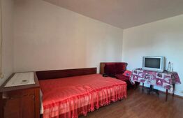 Garsoniera 32 mp, mobilata si utilata - Brazda lui Novac