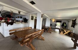 Proprietate turistică în Vârful Roman – Horezu, vedere panoramică