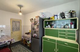 Casă S + P + E cu garaj, 149 mp utili, 170 mp teren, zona Grădina Botanică