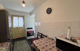 Casă S + P + E cu garaj, 149 mp utili, 170 mp teren, zona Grădina Botanică