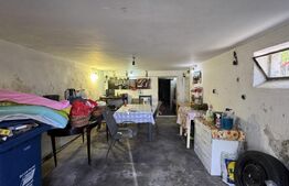 Casă S + P + E cu garaj, 149 mp utili, 170 mp teren, zona Grădina Botanică