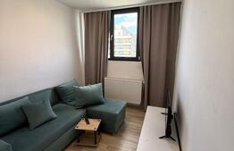 Apartament cu 2 camere, 35 mp, centrala si AC, Calea Severinului
