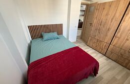 Apartament cu 2 camere, 35 mp, centrala si AC, Calea Severinului