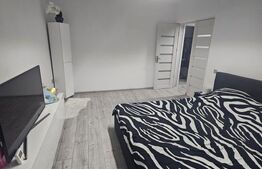 Garsoniera de vanzare, decomandata 44 mp, zona Brazda lui Novac 