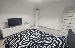 Garsoniera de vanzare, decomandata 44 mp, zona Brazda lui Novac 