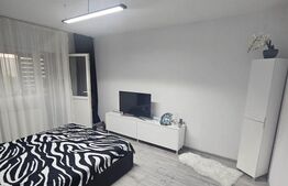 Garsoniera de vanzare, decomandata 44 mp, zona Brazda lui Novac 