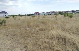 Teren Popoveni, 500 mp deschidere 33,76