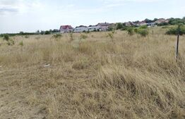 Teren Popoveni, 500 mp deschidere 33,76