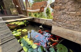 Casă de inchiriat, cu 4 dormitoare cu piscină, grătar, iaz și zonă de relaxare