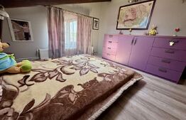 Casă de inchiriat, cu 4 dormitoare cu piscină, grătar, iaz și zonă de relaxare