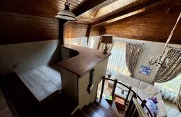 Casă de inchiriat, cu 4 dormitoare cu piscină, grătar, iaz și zonă de relaxare