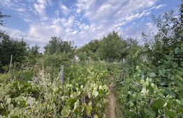 Casa batranesca, 97,57 mp utili, 1100 mp teren, Podari