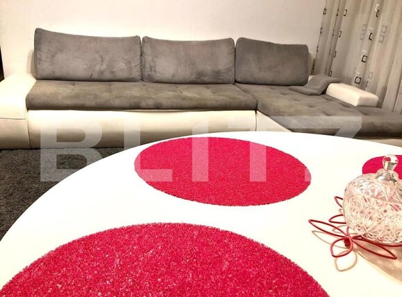 Apartament de închiriat 3 camere Lapus - 174657AI | BLITZ Craiova | Poza2