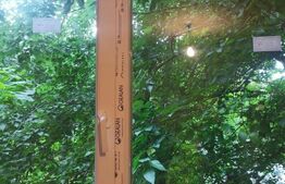 Apartament 2 camere 45mp , Brazda, Etaj 1