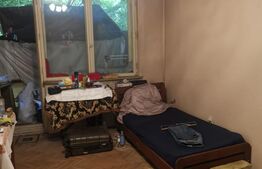 Apartament 2 camere 45mp , Brazda, Etaj 1