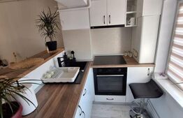 Garsoniera tip Studio decomandata, 39mp, bloc nou, Cornitoiu